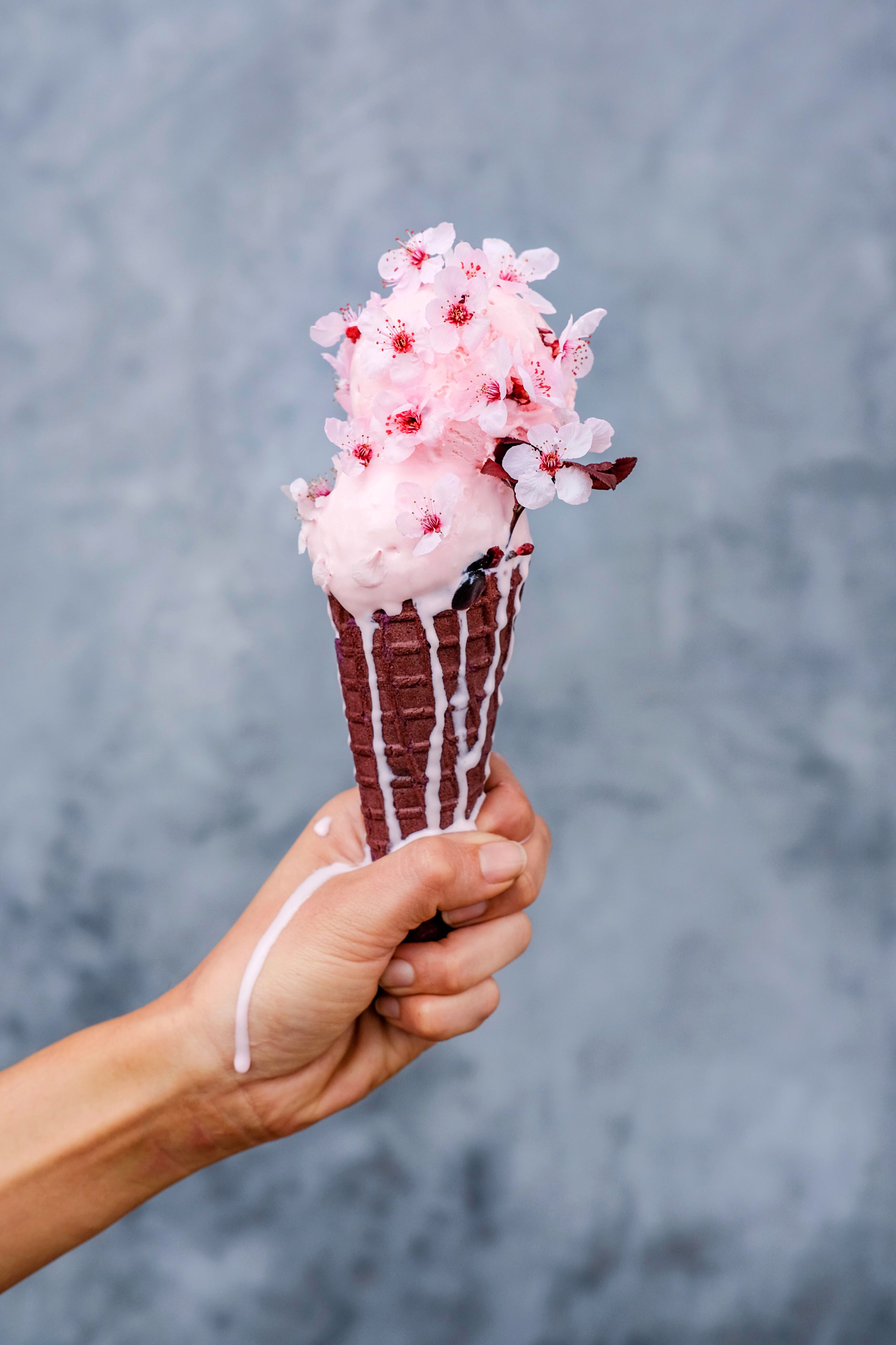 Sakura – Wanderlust Creamery